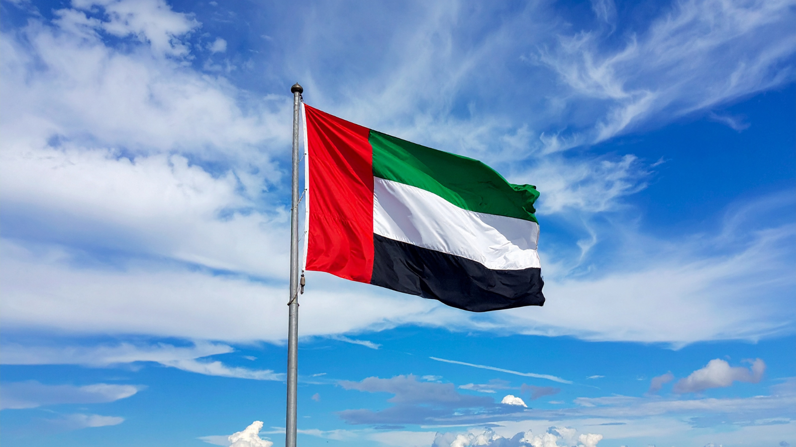 UAE Flag
